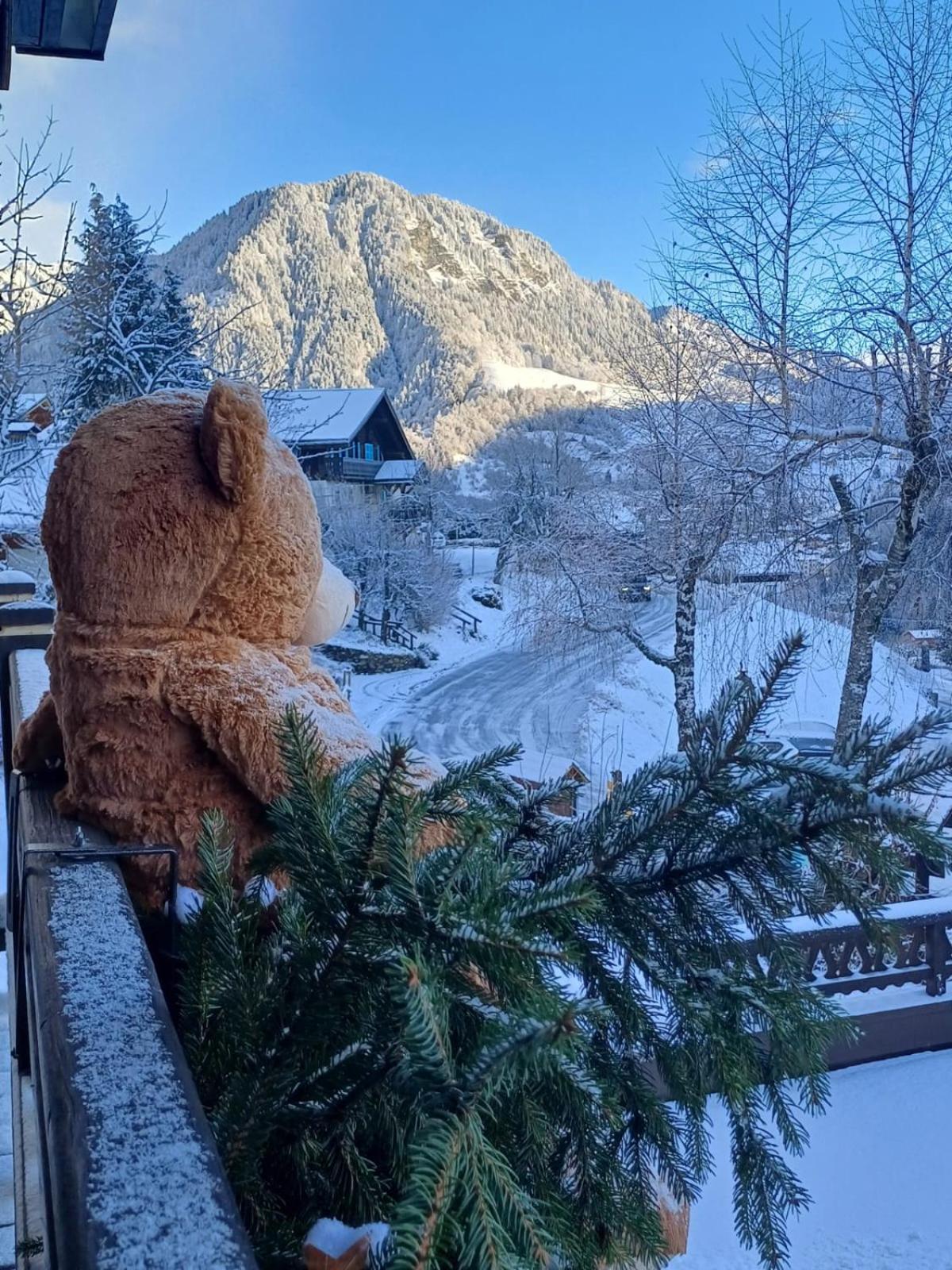 Chalet Appart'Hotel L'Eau Vive Saint-Nicolas-la-Chapelle  Екстериор снимка